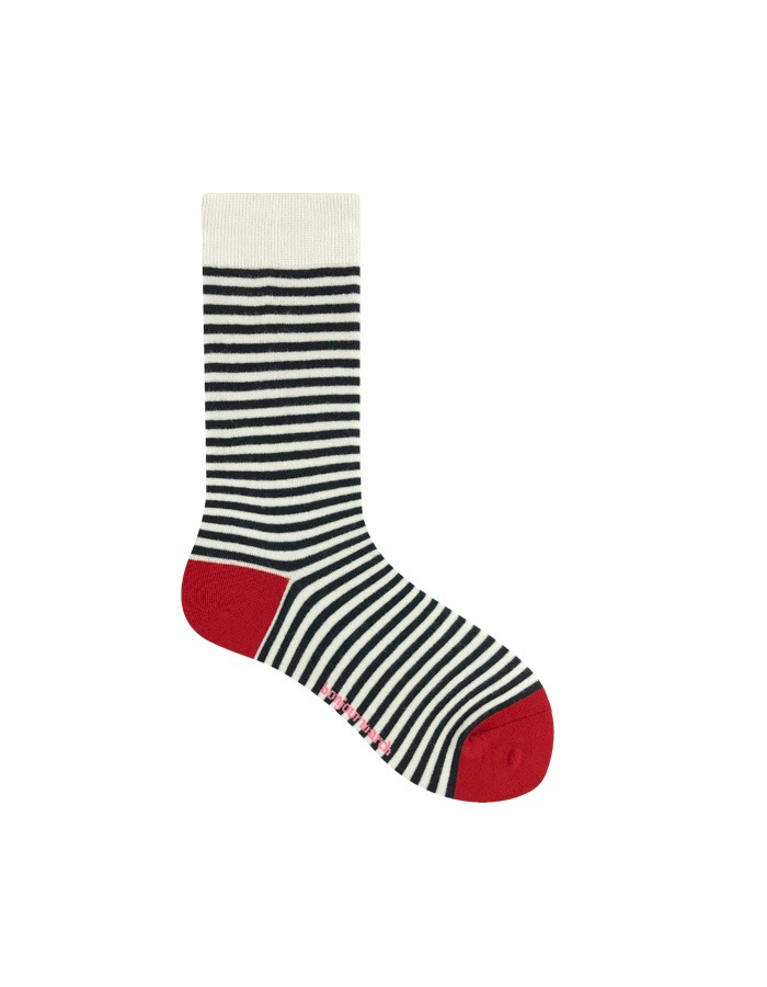 Bonjour March) Color stripe socks (black)